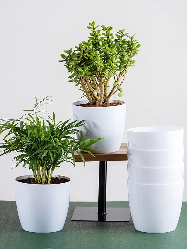 premium plastic white pot (6 inch) for plant